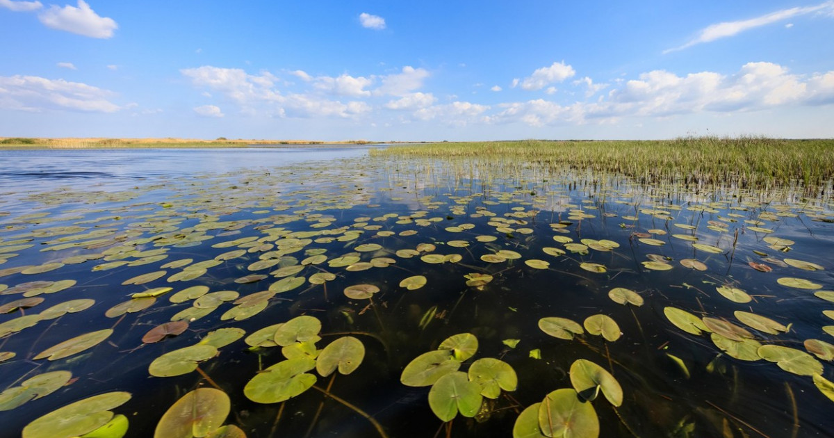 Roman si firma judecati pentru frauda fonduri UE in Delta Dunarii