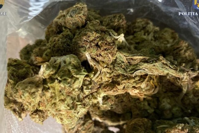 Droguri ascunse in alimente Patru arestati captura de 37 kg canabis