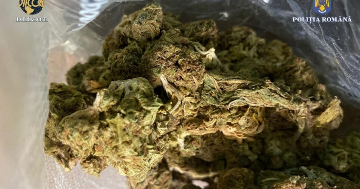 Droguri ascunse in alimente Patru arestati captura de 37 kg canabis