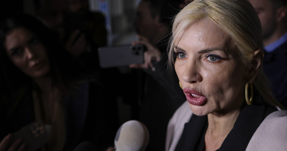 Motivarea judecatorilor Laura Vicol stia cand DIICOT urma sa descinda la ea acasa pentru perchezitii in dosarul Nordis