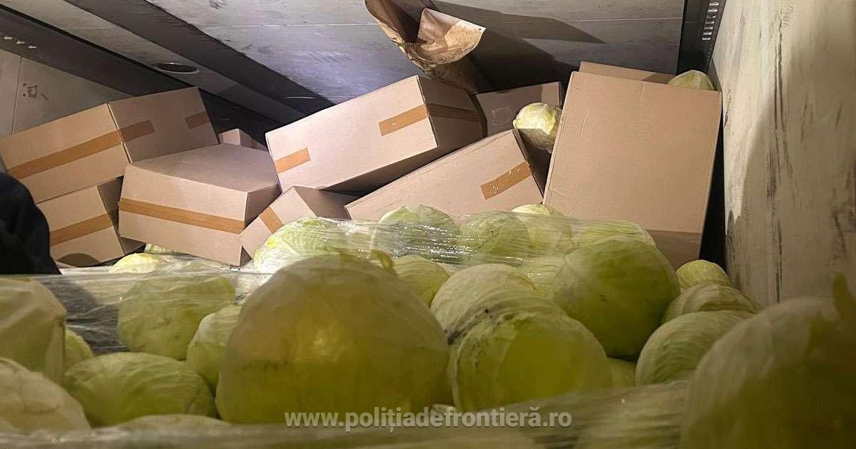 Pachete de tigari de peste 1 3 milioane lei gasite in vama Petea ascunse intr un camion cu varza