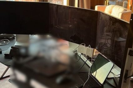 Influentatorii pro Calin Georgescu cercetati perchezitii in Capitala si 9 judete