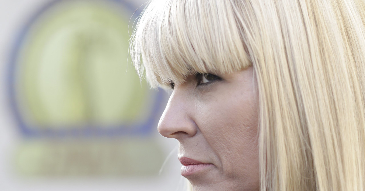 Elena Udrea ar putea iesi mai repede din inchisoare