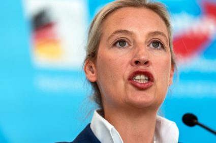 Ministrul german de Interne despre interzicerea partidului AfD