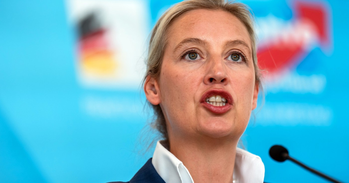 Ministrul german de Interne despre interzicerea partidului AfD