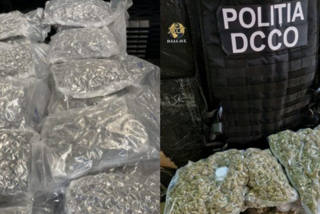 Cinci reziniti si doua sub control judiciar in trafic de substante psihoactive