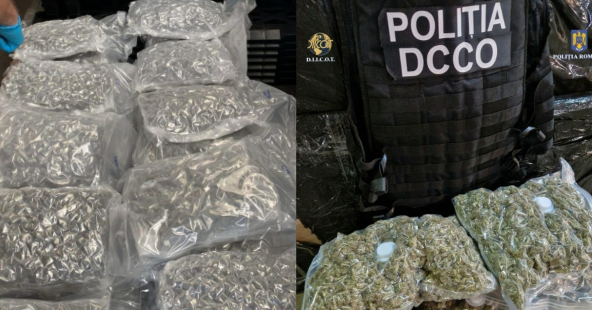 Cinci reziniti si doua sub control judiciar in trafic de substante psihoactive