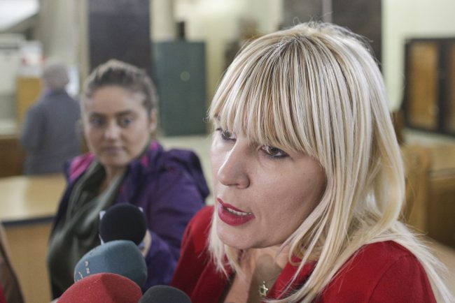 Elena Udrea si a retras cererea de liberare conditionata Ce plan are
