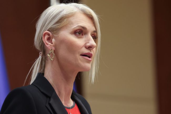 Alina Gorghiu Guvernul sustine legea pentru pedepse mai mari