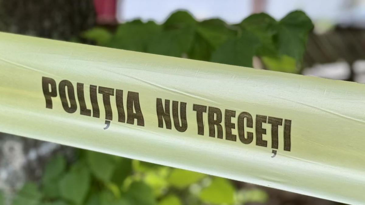 tragedie la drobeta turnu severin profesoara si fiul spanzurati