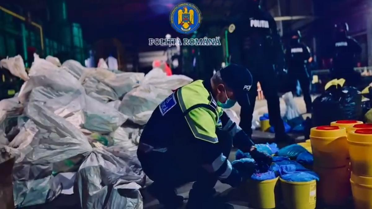 Distrugerea a patru tone de droguri Imagini Politie