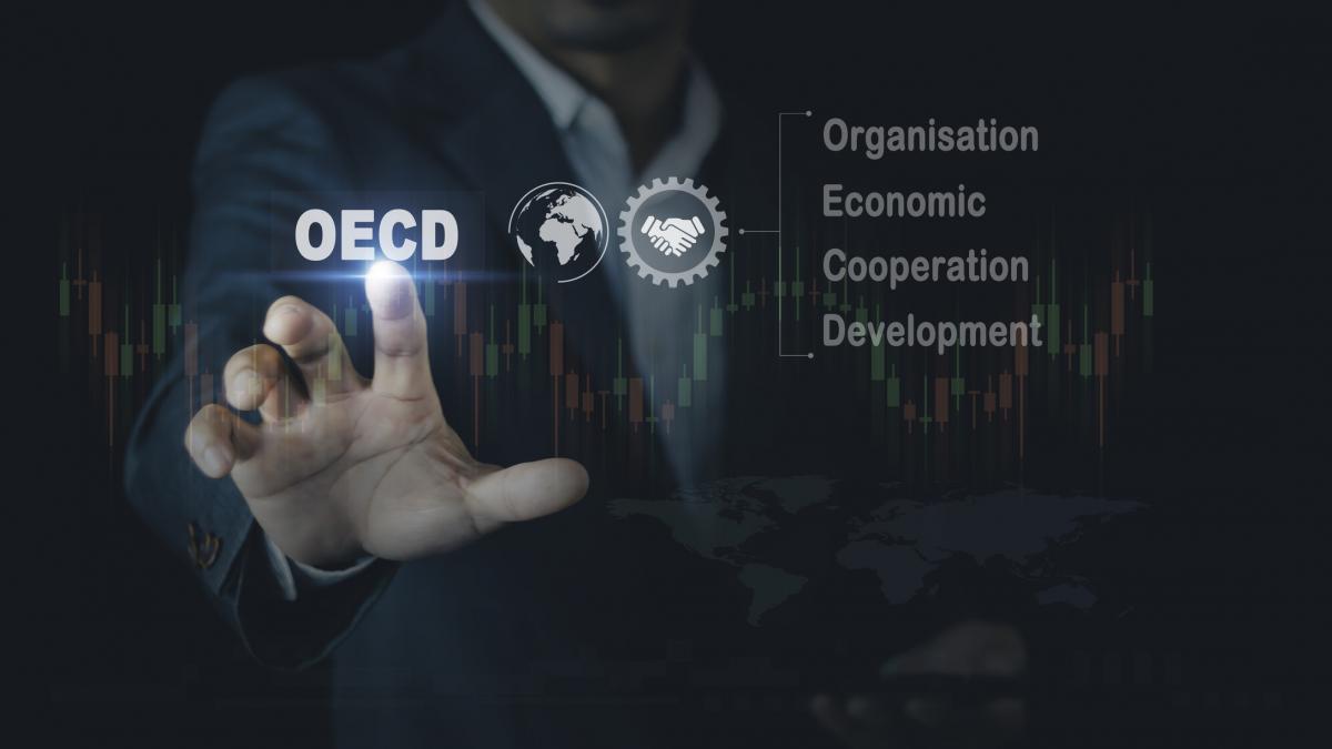 Decizie importanta pentru aderarea Romaniei la OCDE