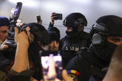 Primele imagini cu Potra adus in catuse Busculada pe aeroportul Otopeni