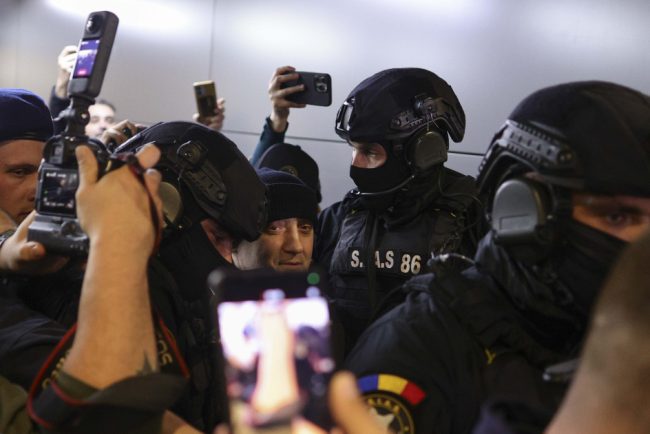 Primele imagini cu Potra adus in catuse Busculada pe aeroportul Otopeni