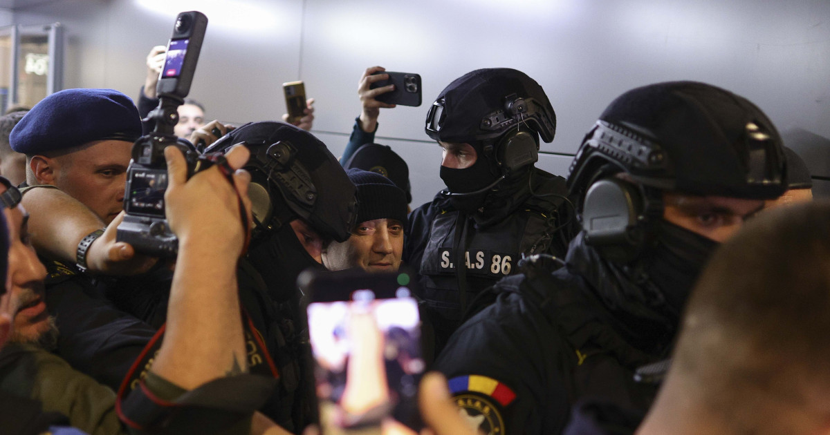 Primele imagini cu Potra adus in catuse Busculada pe aeroportul Otopeni