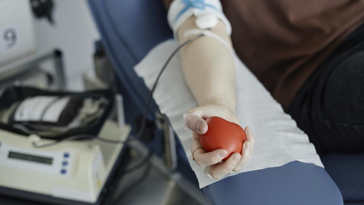 Campanie de donare de sange la Primaria Capitalei pe 3 februarie Ce trebuie sa stii pentru a participa