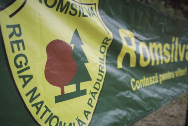 Romsilva a recastigat proprietatea a 43000 de hectare de padure retrocedate ilegal ICCJ a inchis dosarul care il viza pe Hrebenciuc