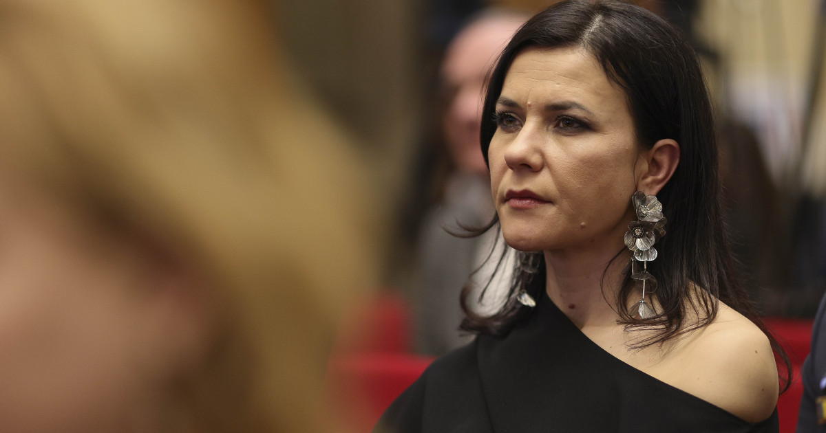 Experienta profesionala si bunurile Cristinei Chiriac propunerea ministrului Justitiei pentru functia de