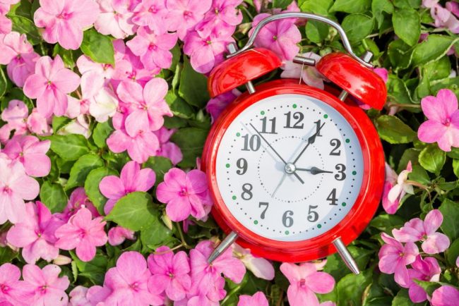 Ora de var 2026 De ce trebuie sa dam ceasul nainte pe 29 martie duminica i cum ne afecteaz acest lucru