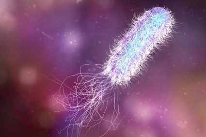 Bacteria Pseudomonas aeruginosa a fost depistata la Spitalul de Pediatrie Ploiesti Ce masuri au fost implementate