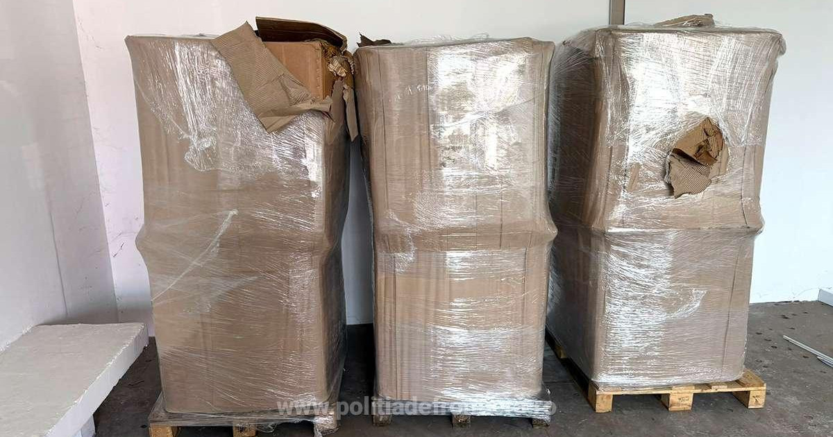 Captura impresionanta la Giurgiu Peste o tona de tutun ilegal a fost gasita intr o duba