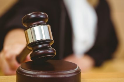 Nicusar Dan Un ONG de mediu are cheltuieli de judecata de 340000 lei Structurile care abia mai exista