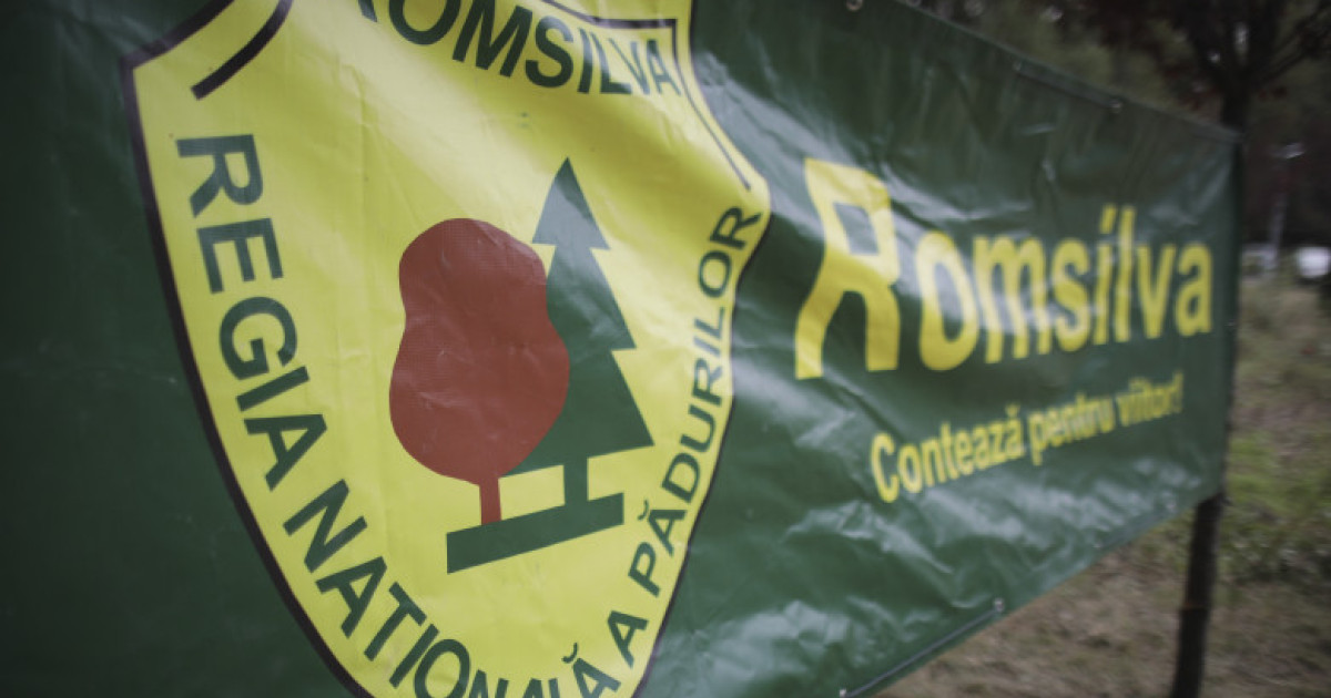 Sindicalistii de la Romsilva solicita instantei suspendarea masurilor de reorganizare a regiei silvice