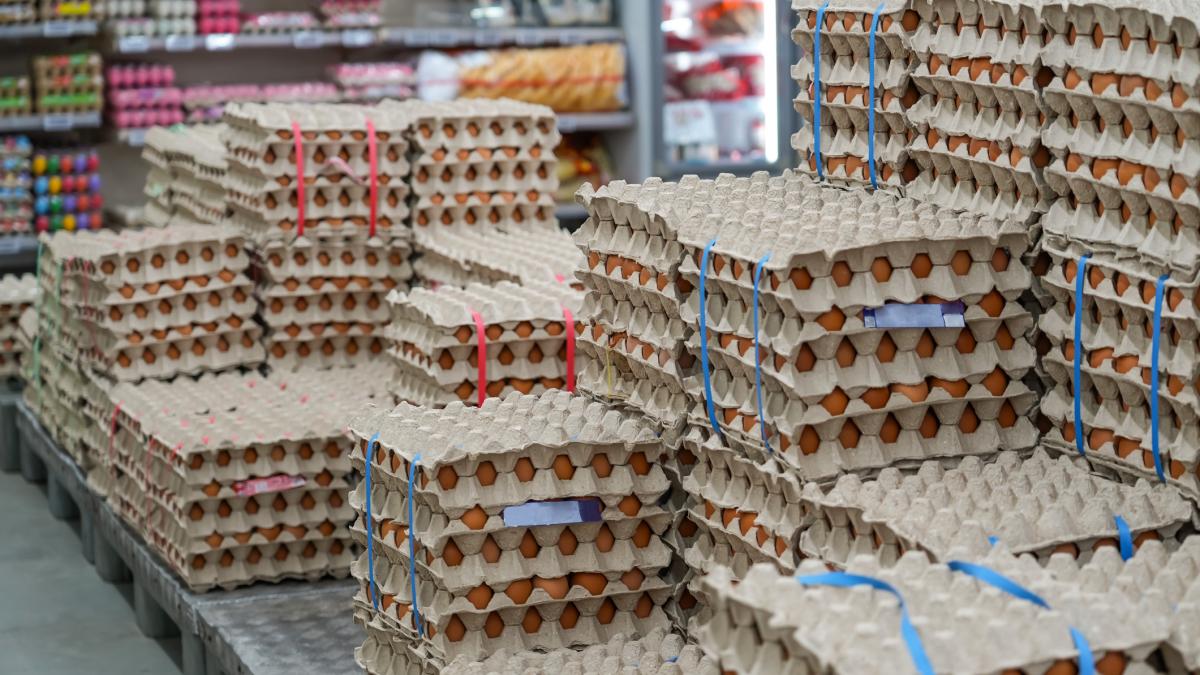 alerta sanitara inainte de paste 15 milioane de oua contaminate cu salmonella in vaslui