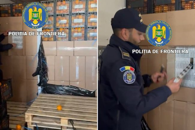 Tigari de contrabanda in valoare de 2 milioane de euro descoperite printre lazi cu portocale Un roman a fost