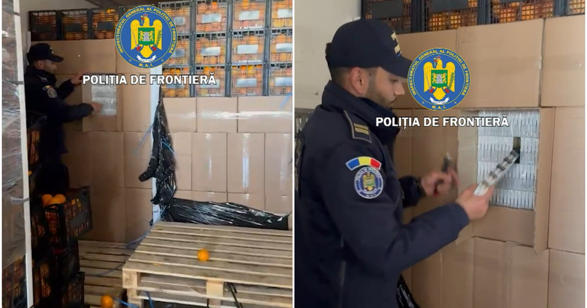 Tigari de contrabanda in valoare de 2 milioane de euro descoperite printre lazi cu portocale Un roman a fost