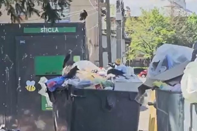 stare de alerta in bacau 65 de localitati acoperite de deseuri nu pot justifica cheltuielile cu