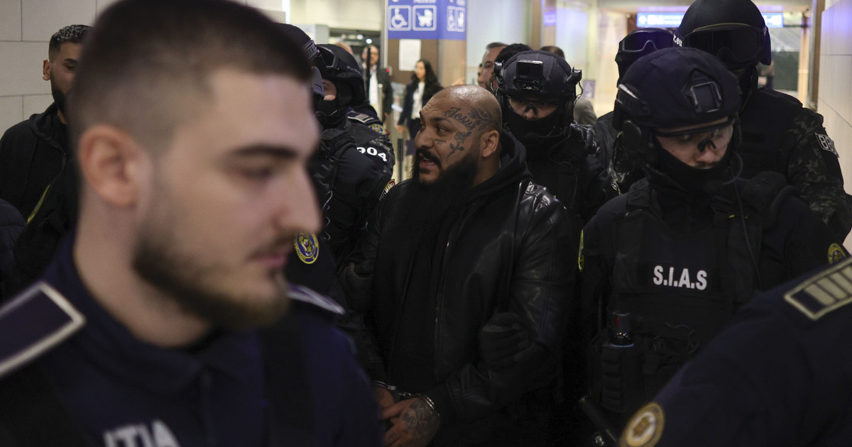 Dani Mocanu si luptatorul Neveu au fost dusi la audieri in Ploiesti Dosarul in care sunt implicati