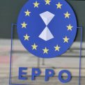 schimbare dramatica intr un caz de 1 5 milioane de euro din fonduri UE trei martori retinuti pentru
