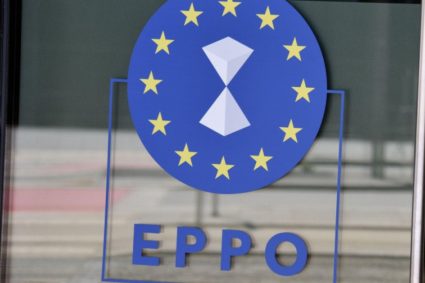 Schimbare dramatică într-un caz de 1,5 milioane de euro din fonduri UE: trei martori, reținuți pentru…