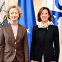 Șefa CCR, discuții cu Comisia de la Veneția despre criteriile statului de drept